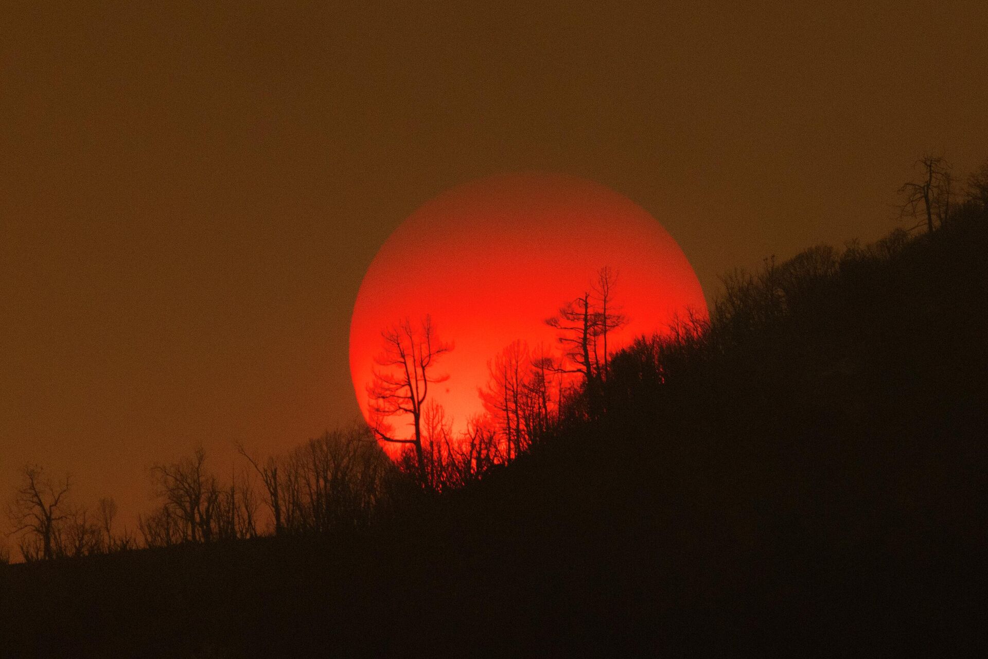 Закат во время лесного пожара в Калифорнии  - Sputnik Грузия, 1920, 31.08.2022
