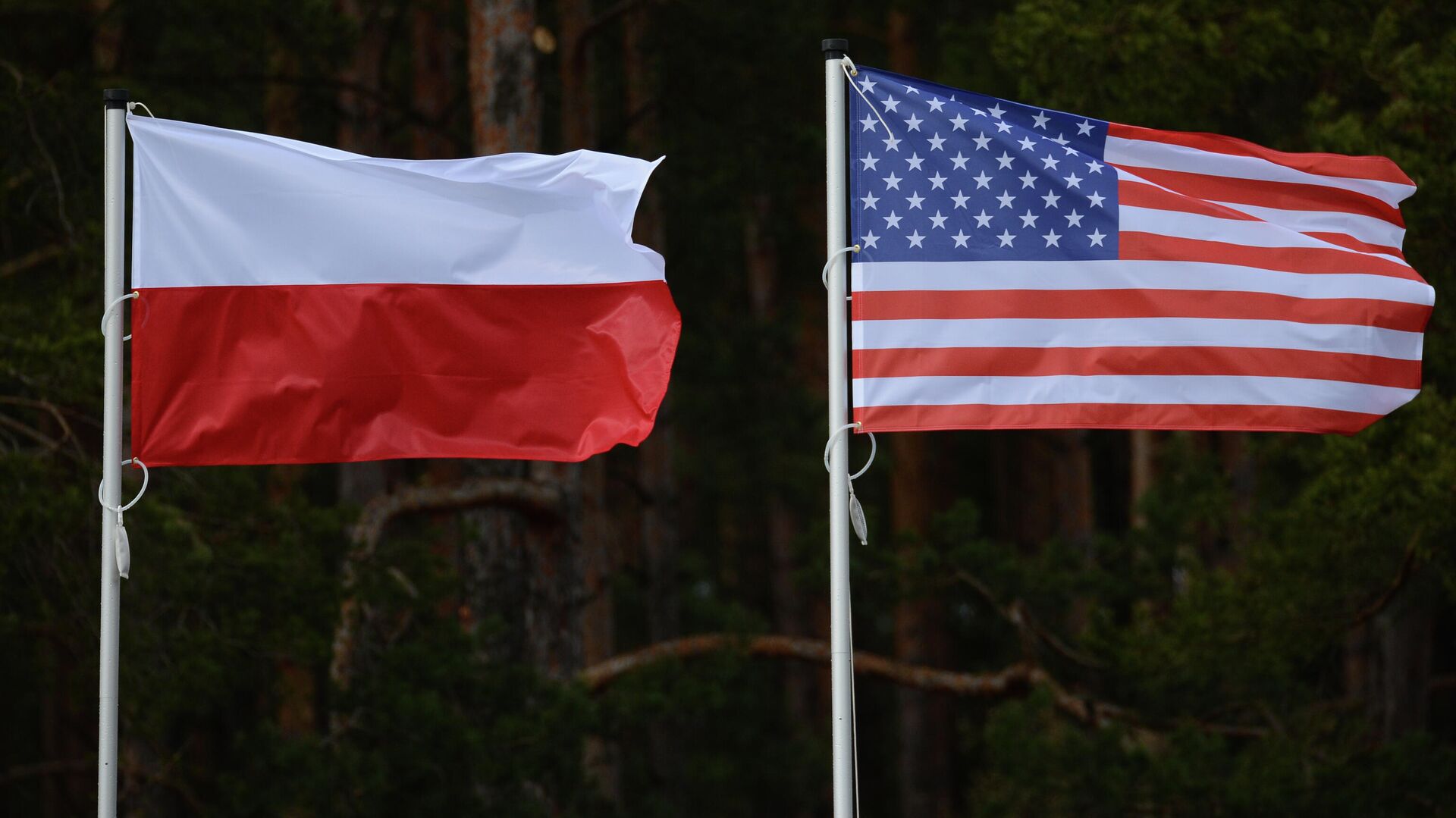 Флаги США и Польши - Sputnik Грузия, 1920, 28.07.2022