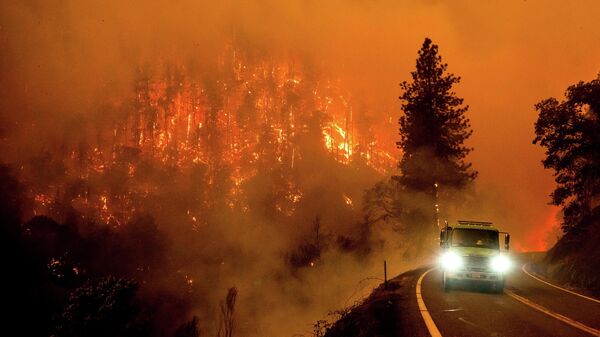 Лесные пожары в Калифорнии - Sputnik Грузия
