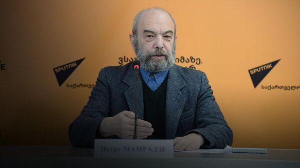 Саакашвили не уйдет, а Иванишвили не вернется – мнение политолога - Sputnik Грузия