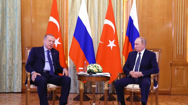 Владимир Путин и Реджеп Эрдоган провели переговоры в Сочи - видео - Sputnik Грузия