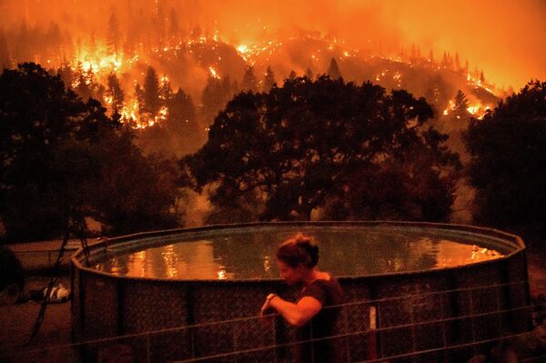 Лесной пожар в Национальном лесу Кламат,  Калифорния - Sputnik Грузия