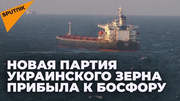 Грузовое судно Glory с украинским зерном прибыло в Стамбул - видео - Sputnik Грузия