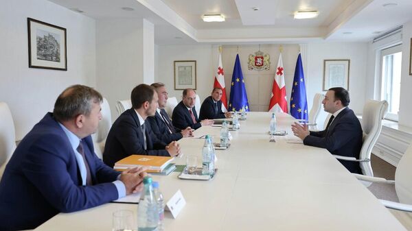 Встреча Ираклия Гарибашвили с председателем Demirören Holding Йылдиримом Демиререном - Sputnik Грузия