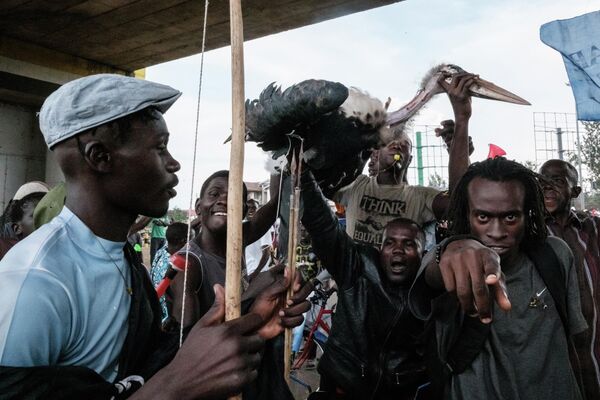 დემონსტრანტები კენიაში ჩატარებული საპრეზიდენტო არჩევნების შედეგების წინააღმდეგ კისუმუში - Sputnik საქართველო