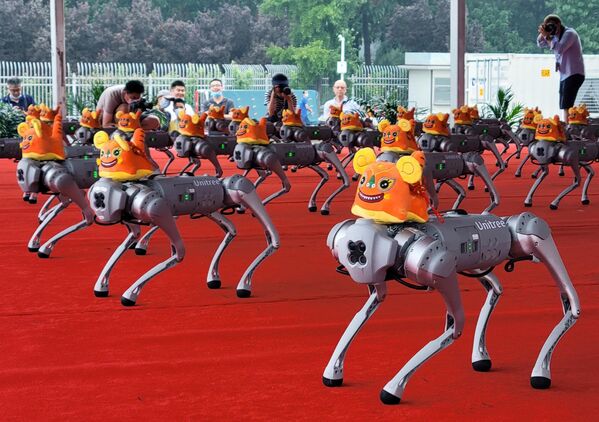 Одним из самых зрелищных моментов конференции стал танцевальный перформанс ста собак-роботов, посвященный символу года — тигру - Sputnik Грузия