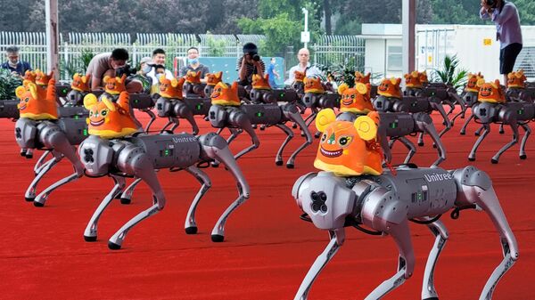 Роботы-собаки во время танцевального перформанса на Всемирной конференции робототехники (World Robot Conference) в Пекине - Sputnik Грузия