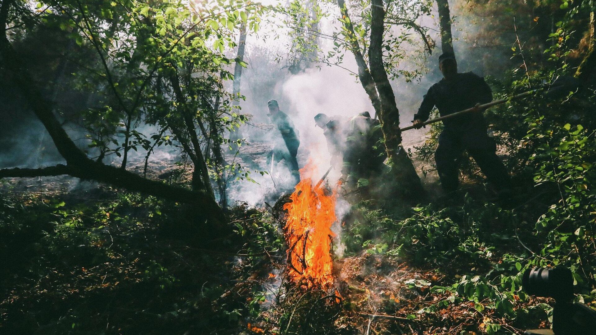 Пожар в лесу в горах близ Боржоми - Sputnik Грузия, 1920, 25.08.2022