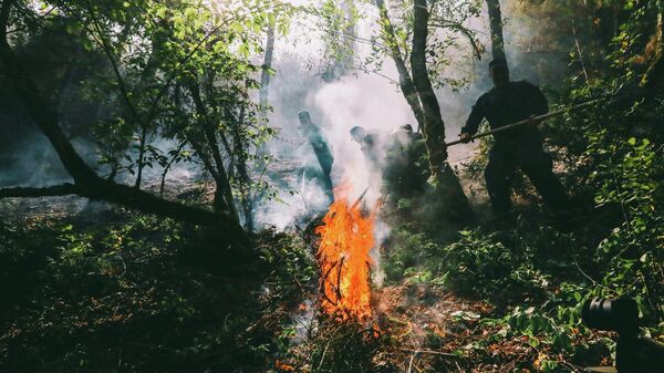 Пожар в лесу в горах близ Боржоми - Sputnik Грузия