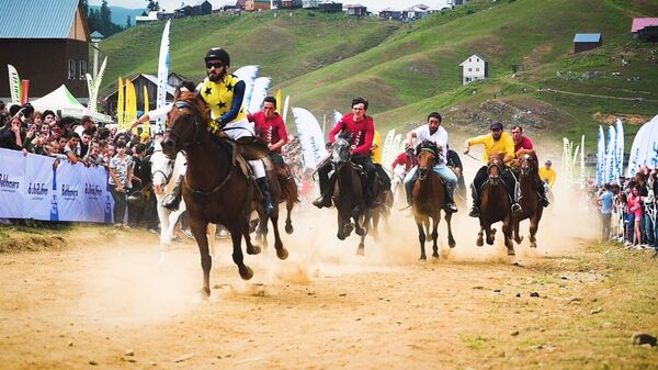 В Грузии провожают лето жаркими конными скачками - видео - Sputnik Грузия