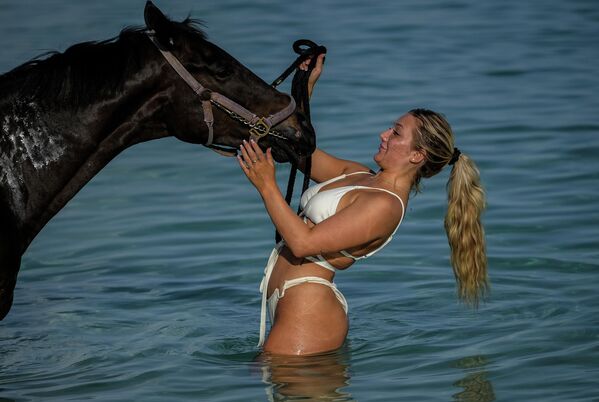 გოგონა ეფერება ცხენს კარიბის ზღვის სანაპიროზე, ბარბადოსი - Sputnik საქართველო