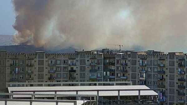 Дым от лесного пожара окутал окраину Тбилиси - видео - Sputnik Грузия