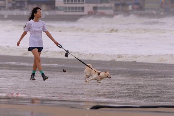 ქალი ძაღლს ასეირნებს სანაპიროზე მას შემდეგ, რაც პუსანს „ჰინამნორმა“ გადაუარა - Sputnik საქართველო