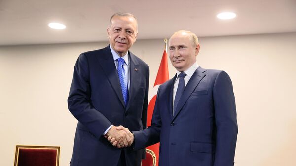Президент РФ Владимир Путин и президент Турции Реджеп Тайип Эрдоган (слева) во время встречи - Sputnik Грузия
