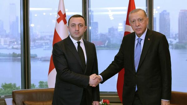Ираклий Гарибашвили и Реджеп Тайип Эрдоган - Sputnik Грузия