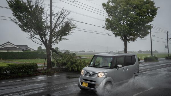 Автомобиль проезжает мимо поваленного дерева во время приближения тайфуна Нанмадол в Идзуми, префектура Кагосима, Япония - Sputnik Грузия