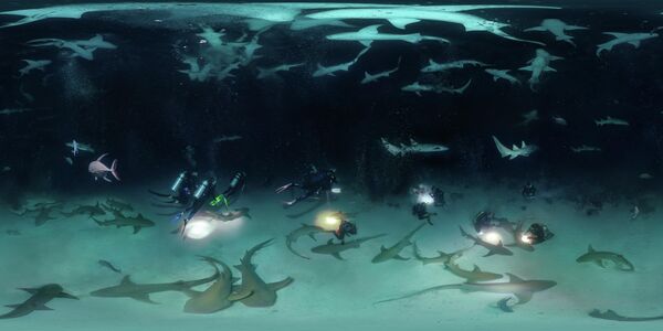 Снимок &quot;Ночной дайвинг с 100 акулами-няньками&quot; российского фотографа Олега Гапонюка - Sputnik Грузия