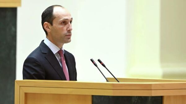 Леван Давиташвили в парламенте Грузии - Sputnik Грузия