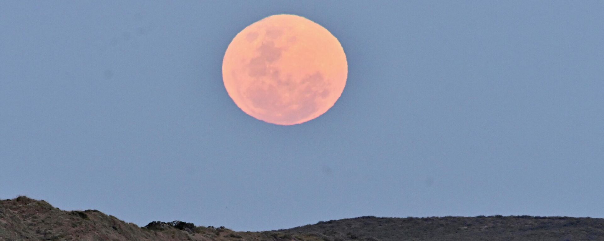 Кит во время восхода полной охотничьей луны в Пуэрто-Мадрине, Аргентина - Sputnik Грузия, 1920, 28.02.2023