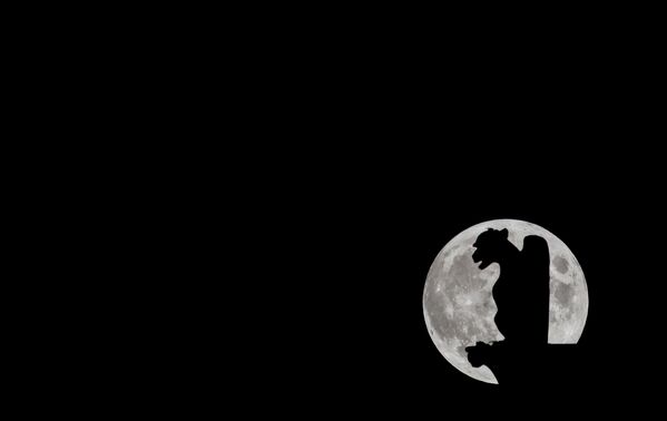 Внимание всех фотографов мира в эту ночь было приковано именно к Луне. &quot;Охотничья Луна&quot; на фоне горгульи собора Нотр-Дам де Пари - Sputnik Грузия