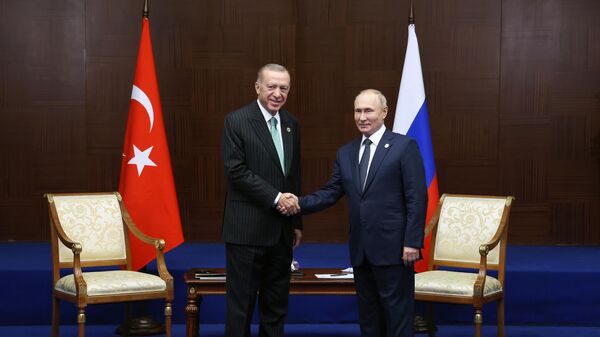 Президент РФ В. Путин встретился с президентом Турции Р. Т. Эрдоганом - Sputnik Грузия