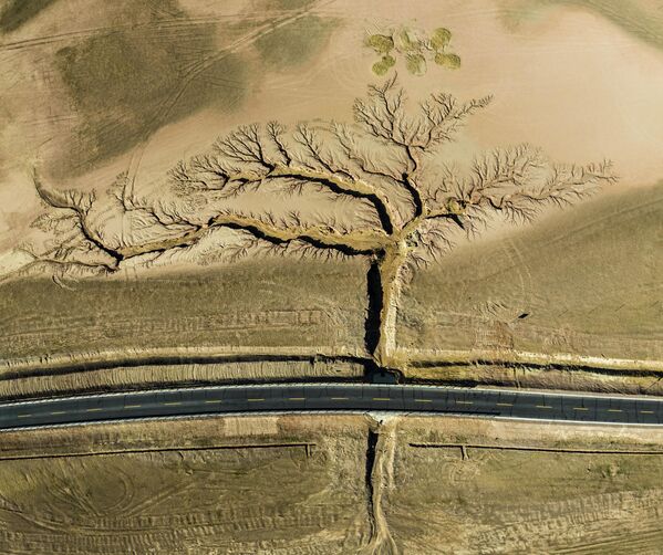 Главный приз достался китайскому фотографу Ли Пингу за снимок одинокого шоссе в Тибете, окаймленного с каждой стороны оврагами, расширяющимися наружу в форме дерева - Sputnik Грузия