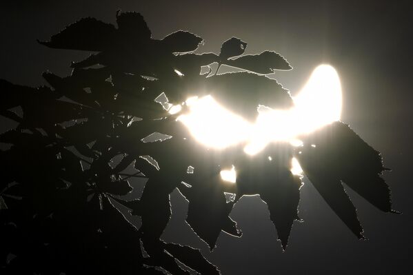 Частичное солнечное затмение, наблюдаемое в Москве - Sputnik Грузия
