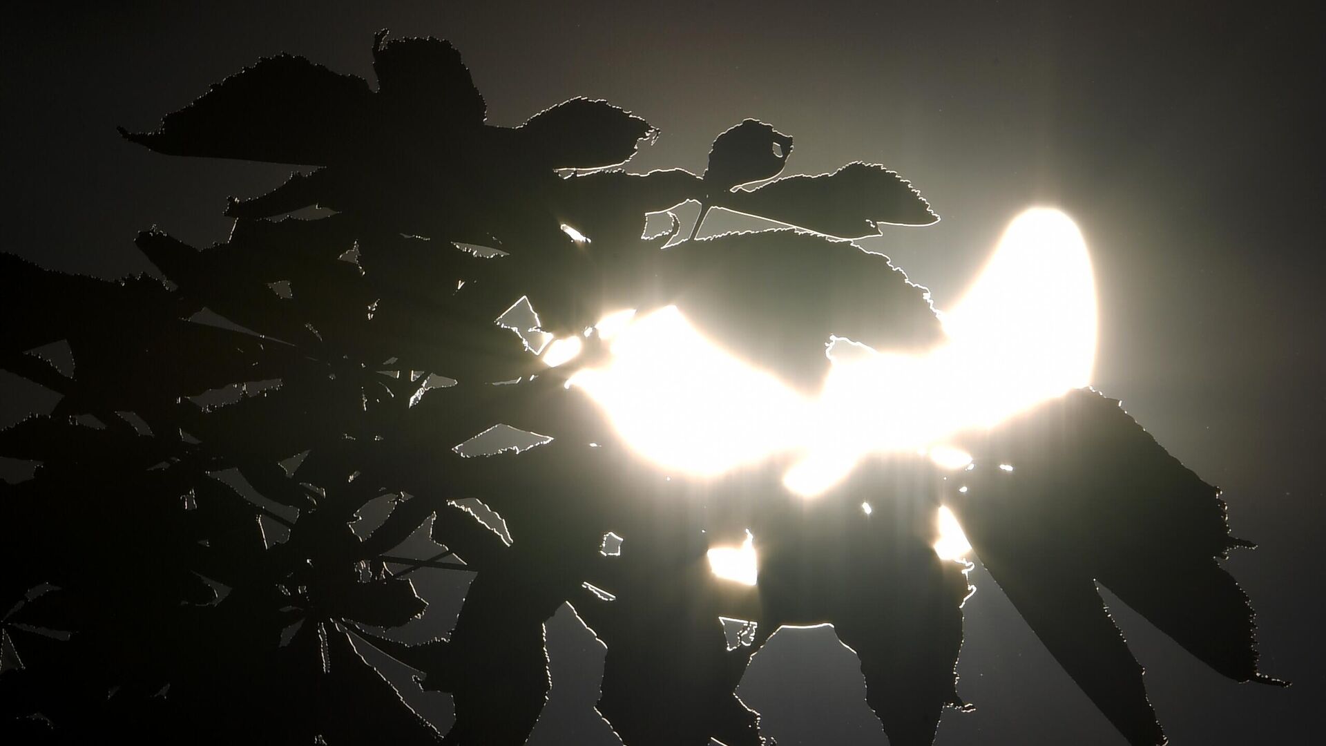 Частичное солнечное затмение, наблюдаемое в Москве - Sputnik Грузия, 1920, 19.06.2023
