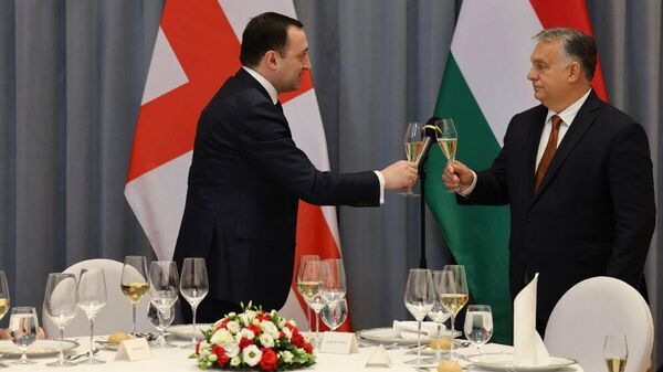 Ираклий Гарибашвили и Виктор Орбан - Sputnik Грузия