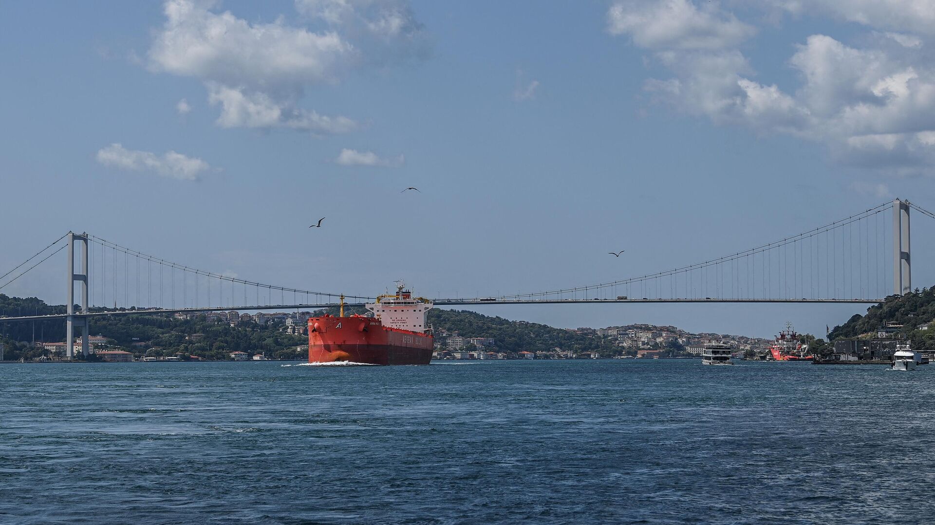 Коммерческое судно проплывает под Мостом мучеников 15 июля, также известным как Босфорский мост, в проливе Босфор - Sputnik Грузия, 1920, 20.11.2022