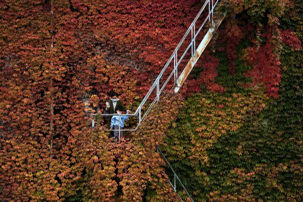 Женщина с ребенком поднимаются по лестнице здания в Пекине, покрытого осенними листьями дикого винограда, чтобы сфотографироваться на память - Sputnik Грузия