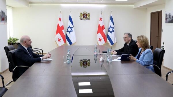 Встреча Зураба Азарашвили с послом Израиля Хадас Мейзад - Sputnik Грузия