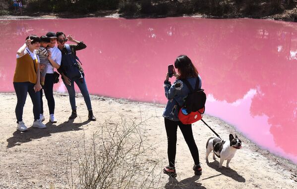 Озеро ярко-розового цвета в Австралии, ставшее таким из-за экстремального уровня соли в связи с жаркой погодой - Sputnik Грузия