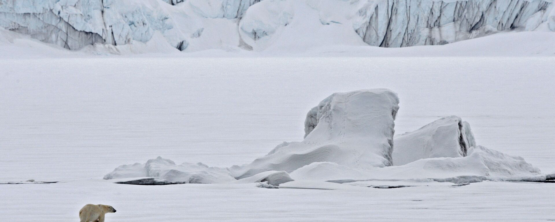 Белый медведь на льдине в Северном ледовитом океане - Sputnik Грузия, 1920, 30.11.2022