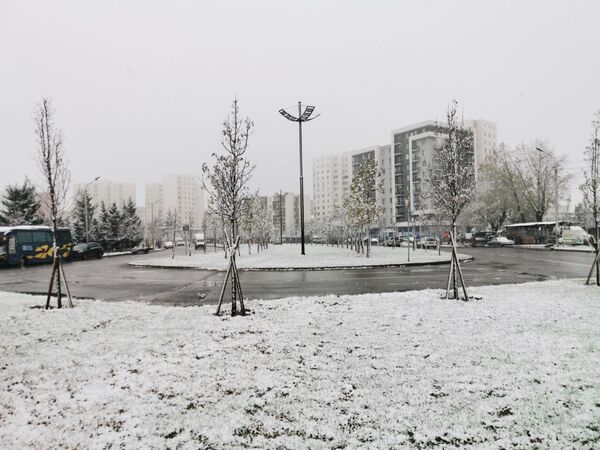 თოვლი მოვიდა ვარკეთილშიც - Sputnik საქართველო