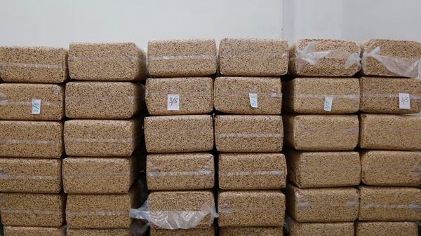 საექსპორტო თხილი საექსპორტო თხილი - Sputnik საქართველო