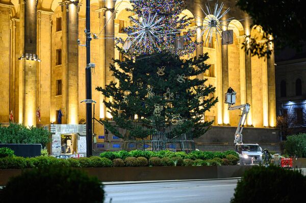 Главная новогодняя елка страны по традиции, установлена перед зданием парламента Грузии - Sputnik Грузия