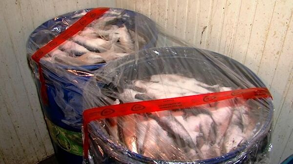 В Грузии инспекторы опечатали более 1,1 тысячи килограммов непригодной для пищи рыбы
 - Sputnik Грузия