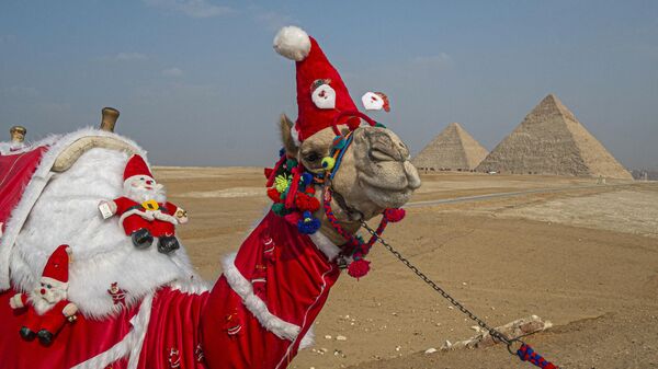 Верблюд, одетый в рождественскую одежду, возле пирамид Гизы на юго-западной окраине египетской столицы - Sputnik Грузия