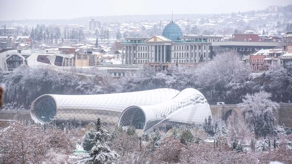 Снегопад в столице Грузии - первый снег в Тбилиси в новом году в январе - Sputnik Грузия