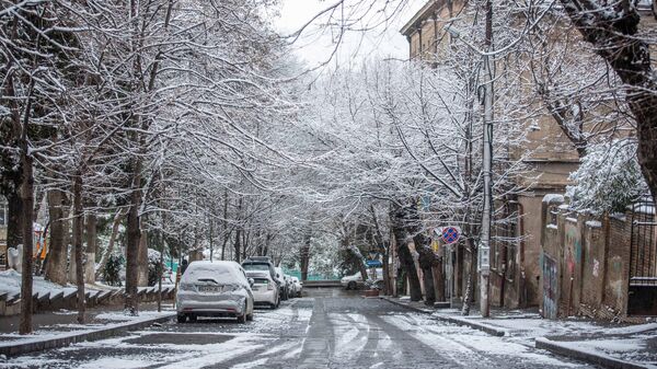Снегопад в столице Грузии - первый снег в Тбилиси в новом году в январе - Sputnik Грузия