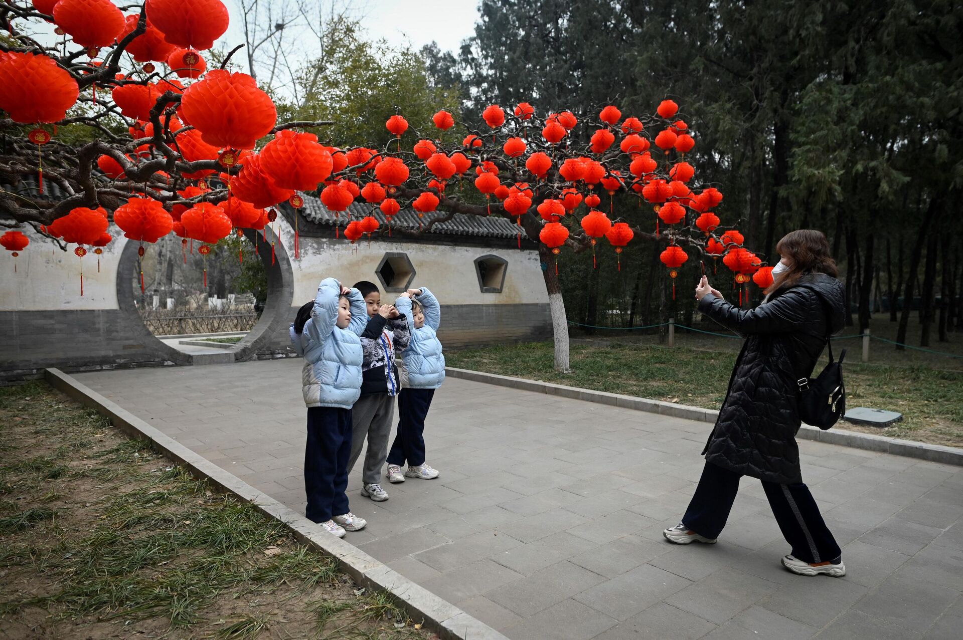 Красные фонари на дереве в парке в Пекине во время подготовки к празднованию Нового года по восточному календарю  - Sputnik Грузия, 1920, 18.01.2023