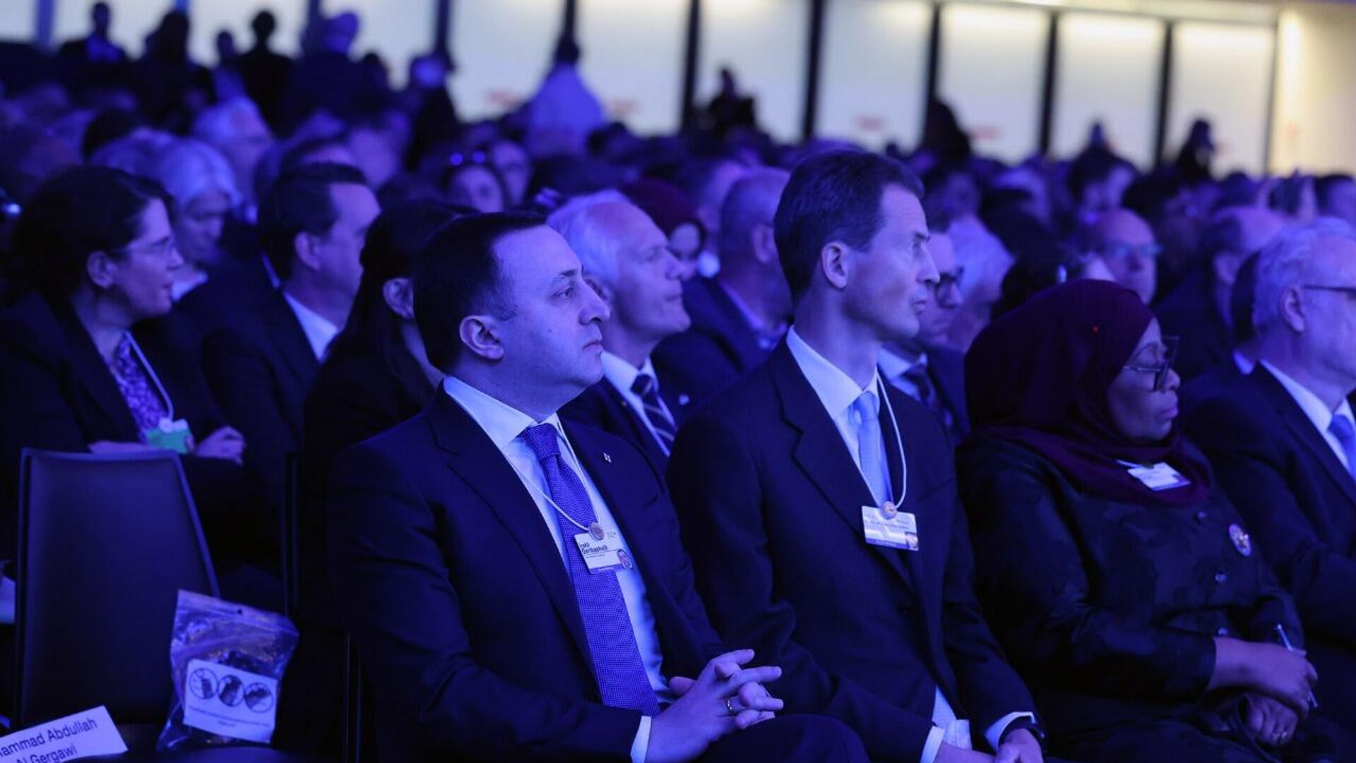 Ираклий Гарибашвили на Всемирном экономическом форуме в Давосе - Sputnik Грузия, 1920, 18.01.2023