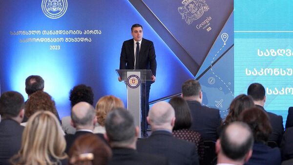Илья Дарчиашвили выступил на открытии координационной встречи консульских работников - Sputnik Грузия