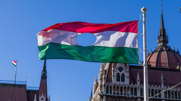 Флаг периода событий 1956 года на фоне Парламента Венгрии в Будапеште - Sputnik Грузия