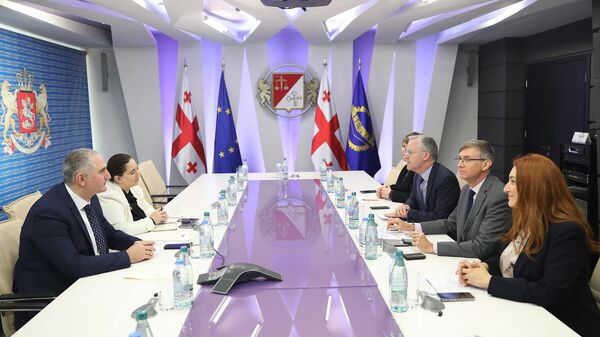 Лаша Хуцишвили на встрече с представителями АБР - Sputnik Грузия