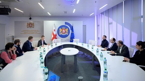 Леван Давиташвили встретился с иностранными консультантами по инвестициям - Sputnik Грузия