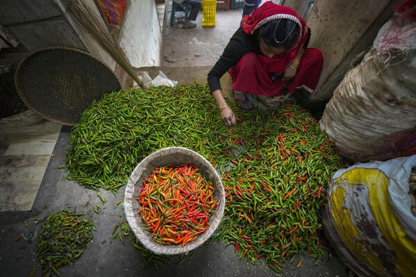 Девушка сортирует перец чили на оптовом овощном рынке в Индии - Sputnik Грузия