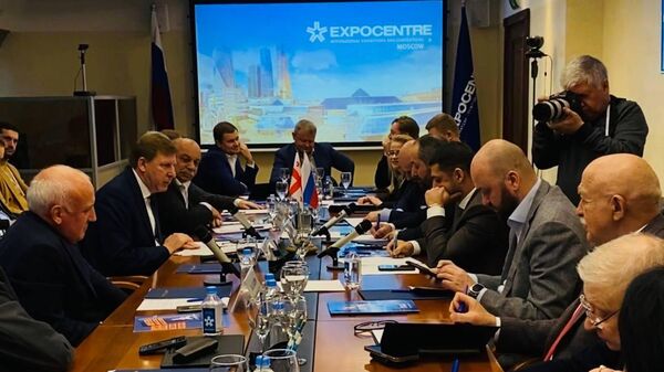 Учредительное заседание Российско-Грузинского делового совета - Sputnik Грузия