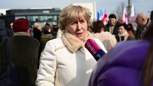 Университет матери Саакашвили в центре расследования – прокуратура Грузии начала проверку